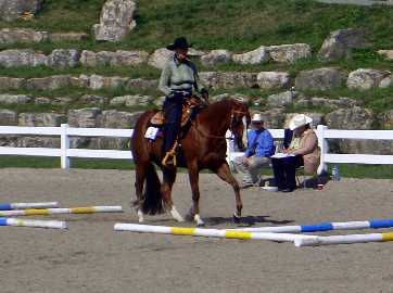 Westernriding