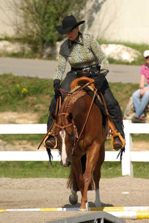 Horsemanship