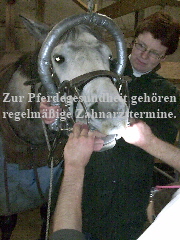 Bild087