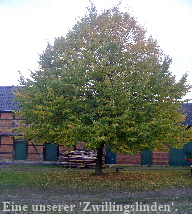 CIMG1732_edited
