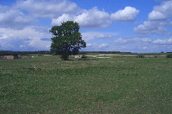 CIMG2292