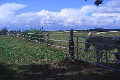 CIMG2309