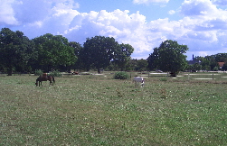 CIMG2321