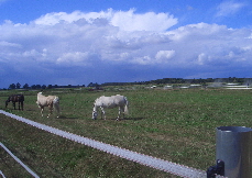 CIMG2346