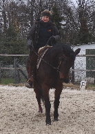 Feli